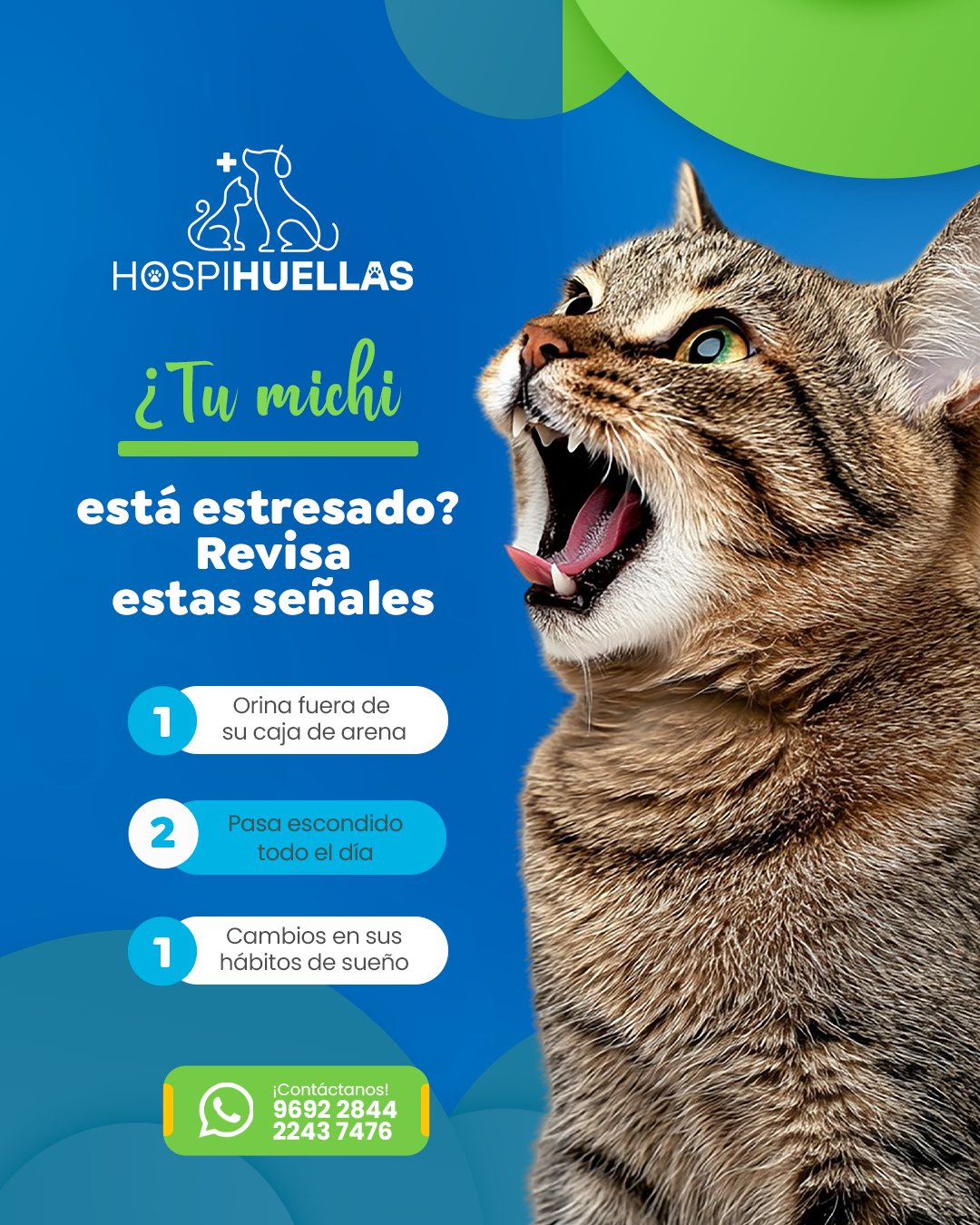 Cuidado profesional para tu mascota